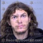 Mugshot of Brooklynn Michelle Watson