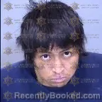 Mugshot of Wayne A Muskett-Bitsilly