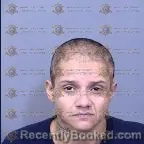 Mugshot of Esmeralda Vega Perez