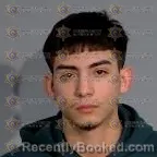 Mugshot of Josel Zein Flores Alvirena