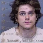 Mugshot of Michael John Borum