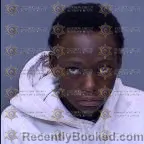 Mugshot of Eleece Joanne Wilbon