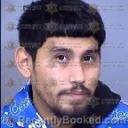 Mugshot of Fabian Alexander Brena