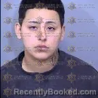 Mugshot of Gabriella Lavira Alvarez booked in Maricopa County, Arizona on April 1, 2026