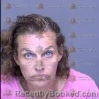 Mugshot of Dana Dawn Merlin booked in Maricopa County, Arizona on April 1, 2026