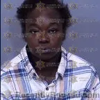 Mugshot of Mary Ann Johnson booked in Maricopa County, Arizona on April 4, 2026