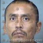 Mugshot of Leneil Tsosie booked in Maricopa County, Arizona on May 6, 2026