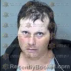 Mugshot of Catherine Irene Van Dorn booked in Maricopa County, Arizona on May 6, 2026