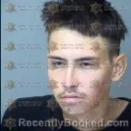 Mugshot of Andrew Sutton booked in Maricopa County, Arizona on June 1, 2026