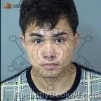 Booking photo from Maricopa County, Arizona