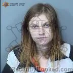 Mugshot of Alexis Machelle Sipple booked in Maricopa County, Arizona on June 28, 2026