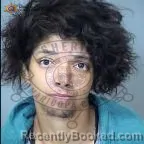 Mugshot of Leah Chrysten Wilson booked in Maricopa County, Arizona on June 28, 2026