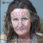 Mugshot of Rebecca Jean Carrara booked in Maricopa County, Arizona on July 9, 2026