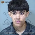 Mugshot of Noah Jacob De La Huerta booked in Maricopa County, Arizona on July 14, 2026