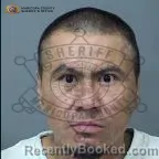 Mugshot of Elliot T Bia booked in Maricopa County, Arizona on August 2, 2026