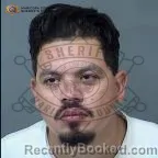 Mugshot of Anthony Ray Grey booked in Maricopa County, Arizona on August 3, 2026