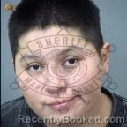 Mugshot of Shawna Kira Dick booked in Maricopa County, Arizona on August 4, 2026