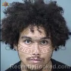 Mugshot of Drake Jadin Anselmo-Lehr booked in Maricopa County, Arizona on August 4, 2026