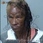 Mugshot of Danna Marielynn Hamilton booked in Maricopa County, Arizona on August 5, 2026