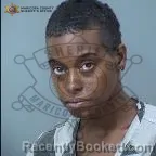 Mugshot of Alisha Ann Coleman booked in Maricopa County, Arizona on August 11, 2026