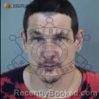 Mugshot of David Selby booked in Maricopa County, Arizona on August 12, 2026