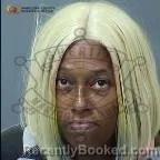 Mugshot of Kayla L Williams booked in Maricopa County, Arizona on August 12, 2026