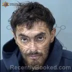 Mugshot of William Mcgregor booked in Maricopa County, Arizona on August 12, 2026