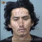 Mugshot of Brandon Nicholas Nelson booked in Maricopa County, Arizona on September 13, 2026