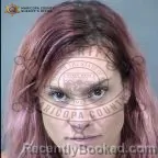 Mugshot of Ashley Cluck booked in Maricopa County, Arizona on September 15, 2026
