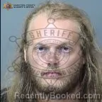 Mugshot of Mio Andersson booked in Maricopa County, Arizona on September 15, 2026