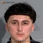 Mugshot of Nicholas Garcia booked in Maricopa County, Arizona on September 22, 2026