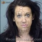 Mugshot of Lisa Marie Robinson booked in Maricopa County, Arizona on September 30, 2026