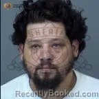 Mugshot of Michael Lyons booked in Maricopa County, Arizona on October 2, 2026