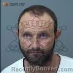 Mugshot of William Gene Collins booked in Maricopa County, Arizona on October 2, 2026