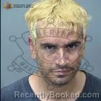Mugshot of Joseph M Palmer booked in Maricopa County, Arizona on October 4, 2026