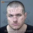 Mugshot of Austin Jay Curtis booked in Maricopa County, Arizona on October 13, 2026