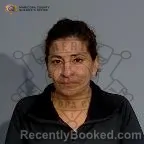 Mugshot of Crystal Arroyo booked in Maricopa County, Arizona on October 13, 2026