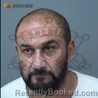 Mugshot of Sager Fariz Sweis booked in Maricopa County, Arizona on October 14, 2026