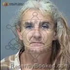 Mugshot of Jennifer Ann Samsill booked in Maricopa County, Arizona on October 14, 2026
