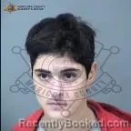 Mugshot of Vanessa Diane Cavenee booked in Maricopa County, Arizona on October 14, 2026