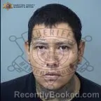 Mugshot of Guadalupe Gilbert Pereyra booked in Maricopa County, Arizona on October 15, 2026