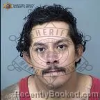 Mugshot of Fidel A Gonzalez booked in Maricopa County, Arizona on October 16, 2026