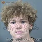 Mugshot of Brian Lee Warren booked in Maricopa County, Arizona on October 16, 2026