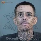 Mugshot of William Alexander Vontesmar booked in Maricopa County, Arizona on October 20, 2026