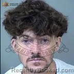 Mugshot of Layne Hamilton booked in Maricopa County, Arizona on October 21, 2026