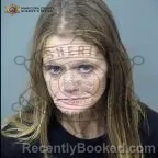 Mugshot of Heather Rene Haney booked in Maricopa County, Arizona on October 23, 2026