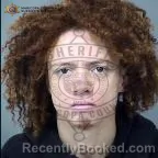 Mugshot of Anthony Benjamin Williams