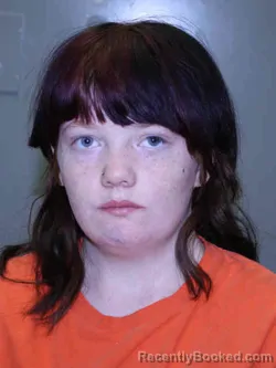 Mugshot of DAWN RENEA SIMMER