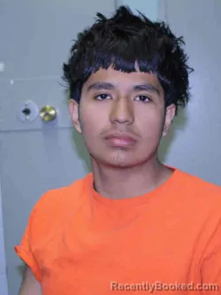 Mugshot of JESSE NAVARRETE-LOPEZ
