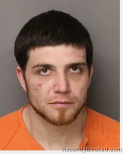 Mugshot of DAVID DALTON LEE